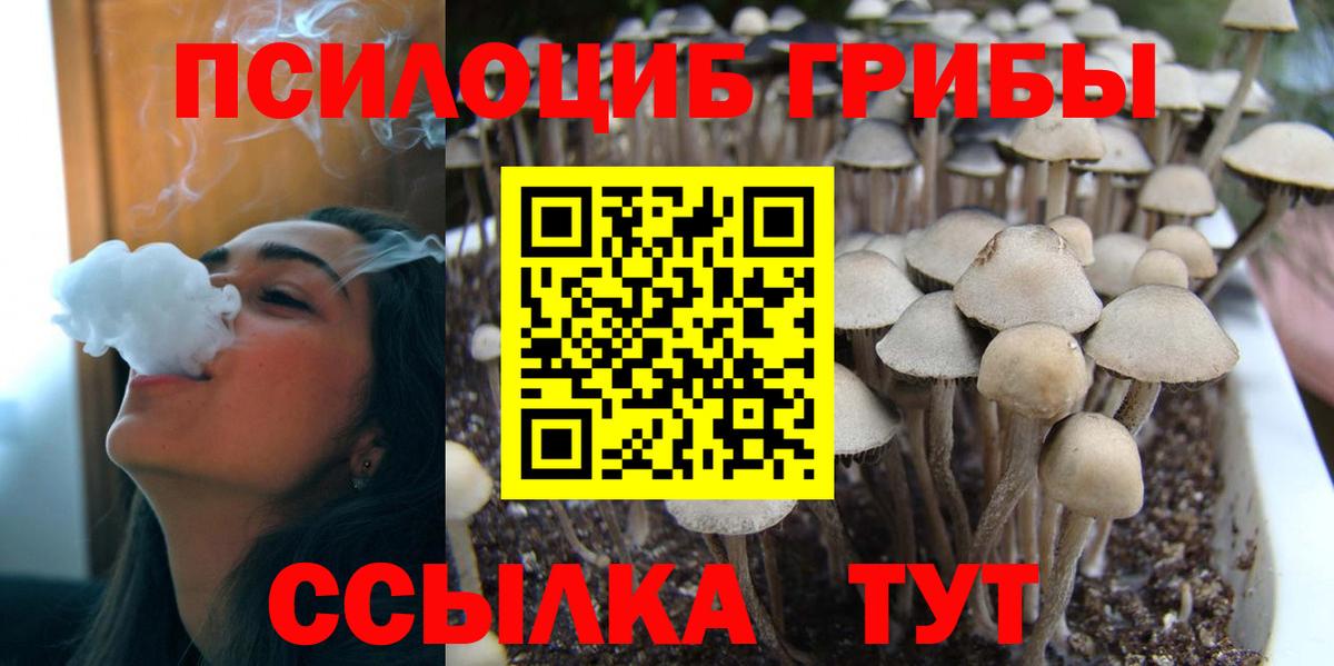 Псилоцибиновые грибы Psilocybe  Вход с VPN  Галлюциногенные грибы Magic Shrooms  Лысьва 