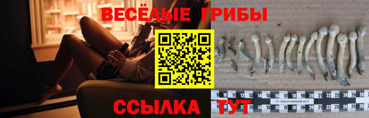Псилоцибиновые грибы MAGIC MUSHROOMS Лысьва